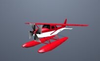 Skimmer